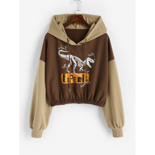 Halloween Skeleton Dinosaur Print Drop Shoulder Ho...
