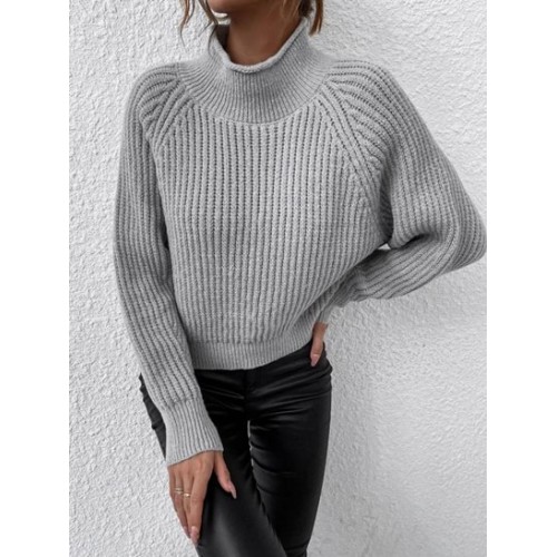 High Neck Raglan Sleeve Chunky Sweater